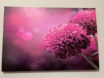 Vibrant pink flower canvas. SMOKE PET FREE HOME