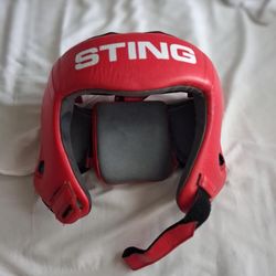 Boxing headgear