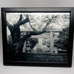 Framed Original Photograph Tokyo Japan Asian Cemetery Graveyard Black & White  