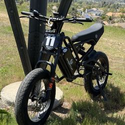 Ghostcat F3X Electric Bike