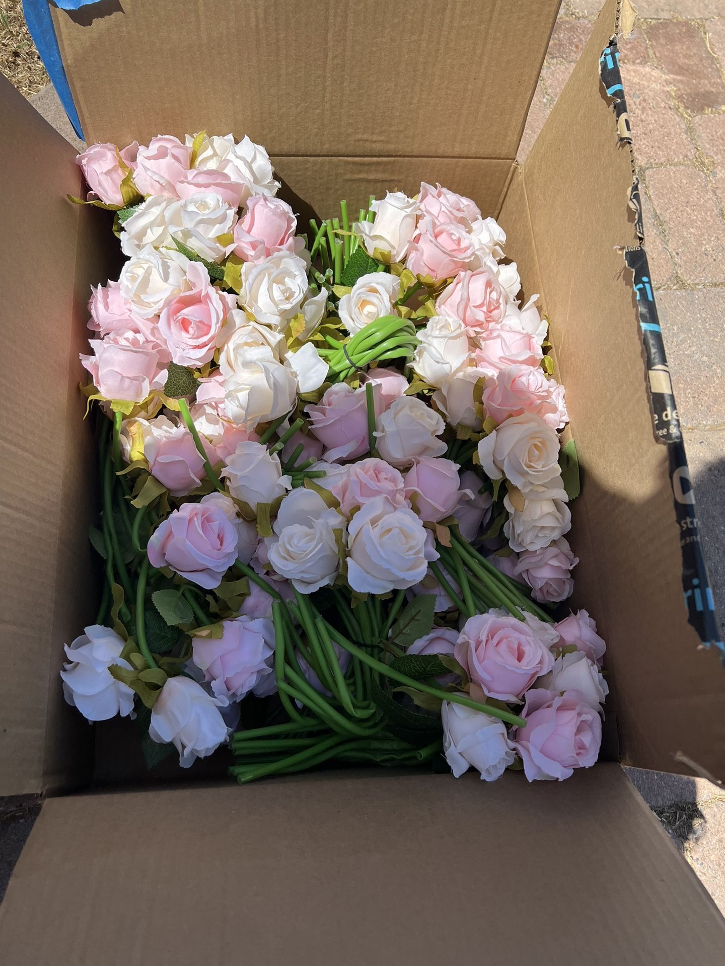 Pink And White Roses