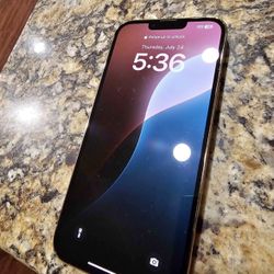 Apple iPhone 13 Pro Max 256GIG