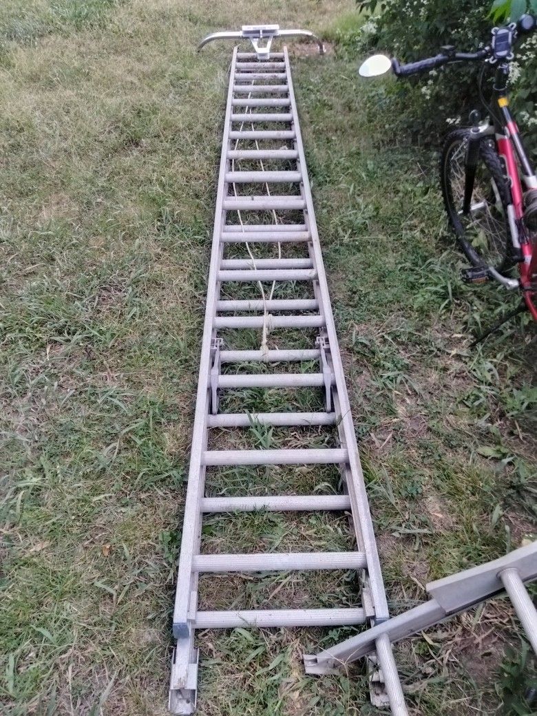 32' Werner Ladder