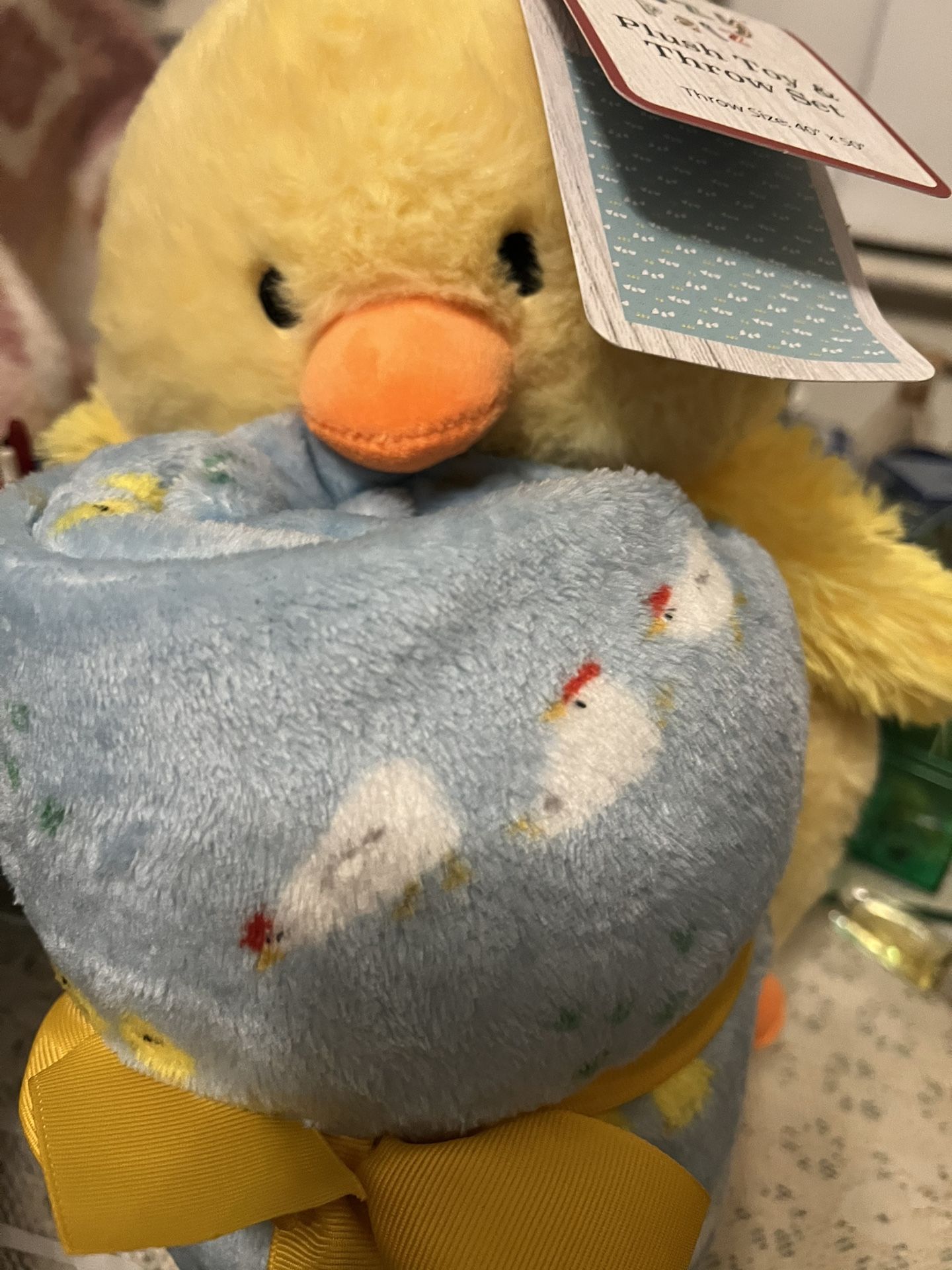 Big Chick And A Blanket