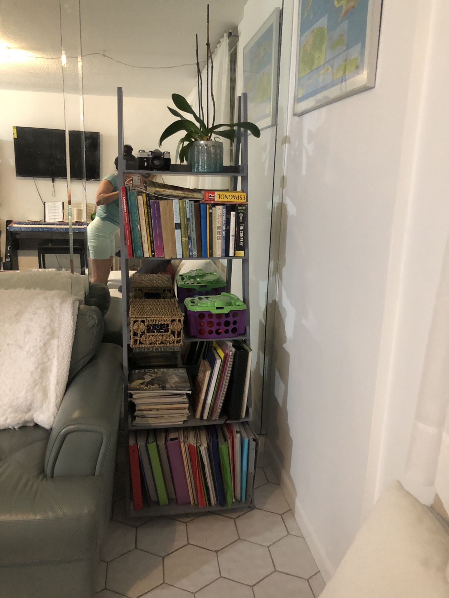 Wayfair/ Ladder/ Bookshelves/ bookshelf