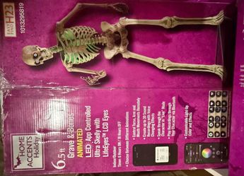 Home Accents Holiday 6.5 ft Animated Skeleton