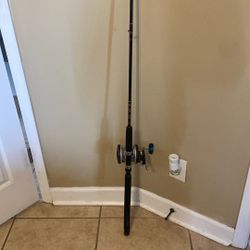 Penn Deep Sea Boat Rod Reel