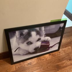Husky Puppy Wall Art (framed)