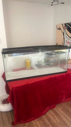 Huge glass tank
