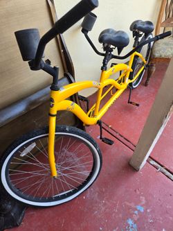 2 seater bike