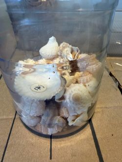 Jar of seashells for decoration