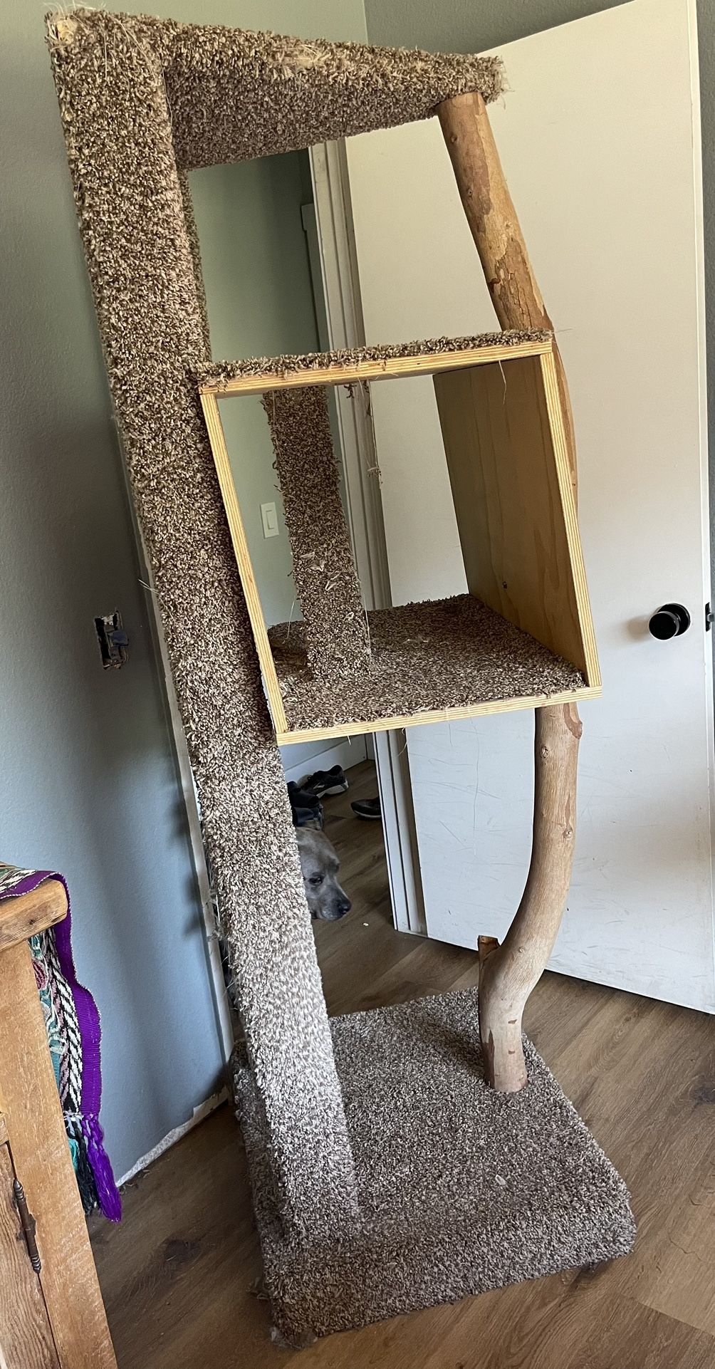 Cat Post