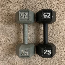 Dumbbells - Pair of 25s - Total 50 Pounds 
