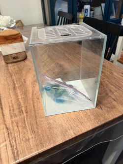 Fish tank (I used for my  beta fish) 1.5 gallon