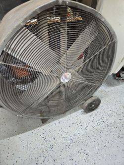 Fan