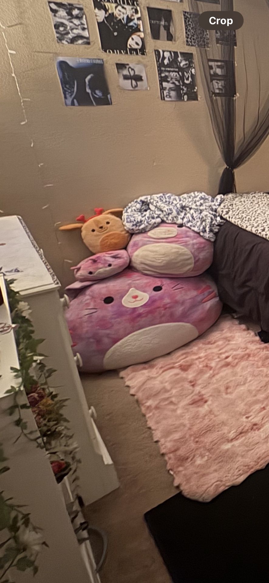 Huge Cat Squishmallow