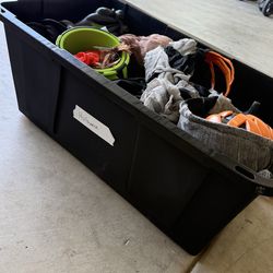 Halloween Decorations