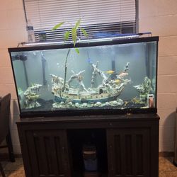 Fish Tank And Stand 75 Gallons 