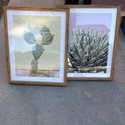Desert Framed Photos