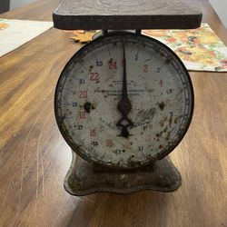 Vintage Scale