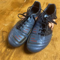 Puma PWR-C 1.12  Man 9.5