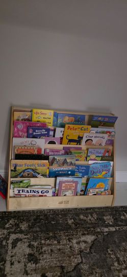 Book shelf library with books