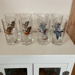 8 Mid-Century Bird Glasses by Libbey