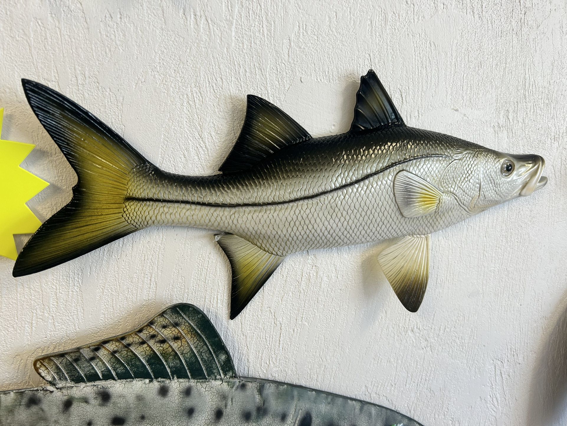 New Resin 19” Snook