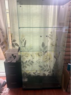 Glass Display Cabinet (NEED GONE)