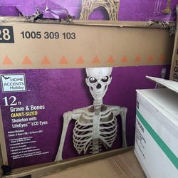Halloween 12ft skeleton