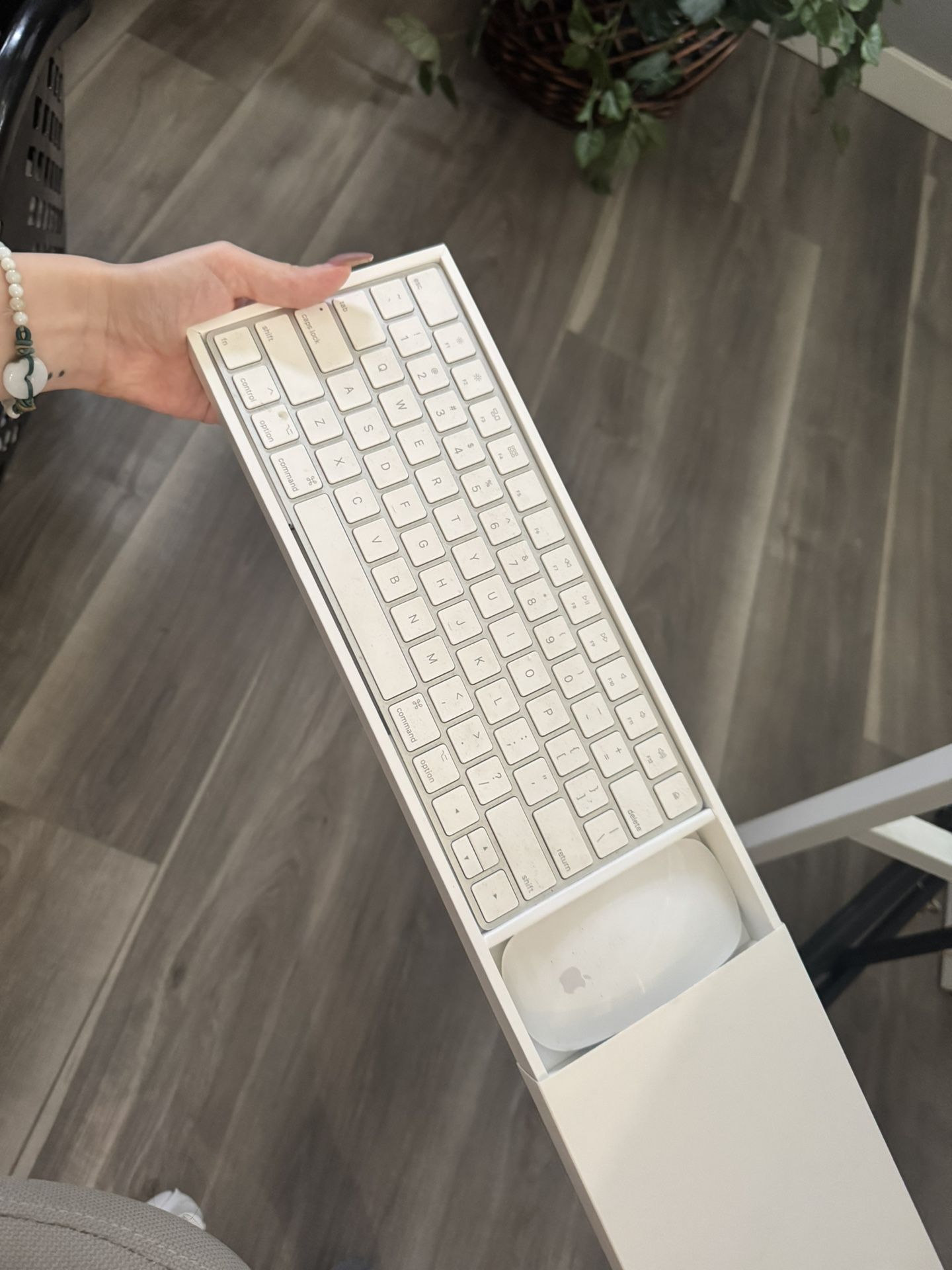Apple Wireless Mouse and Keyboard
