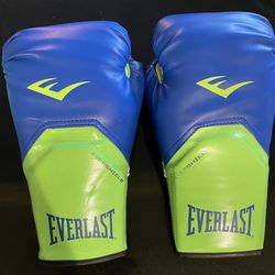 Everest Boxing Gloves