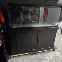 75 Gallon Tank And Cabinet Stand