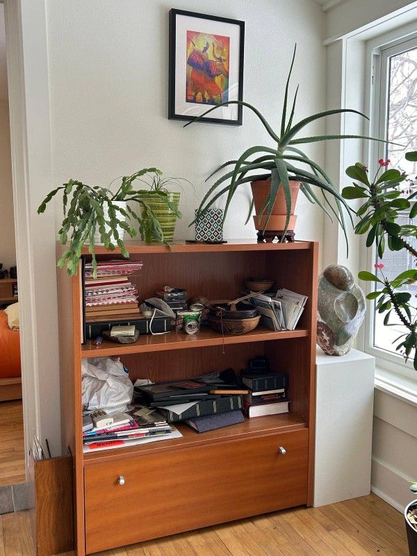 Shelf with File Cabinet