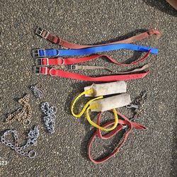 Dog, New Collars,  Misc Leads, Trainer Toys, Misc.