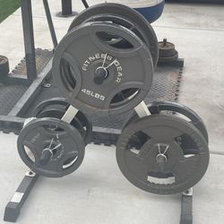 Gym Sized Bench Press 