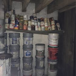Various sizes  & colorsof cans and buckets of paint