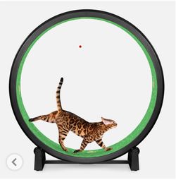 Bengal exercise wheel