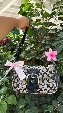 Vintage Coach