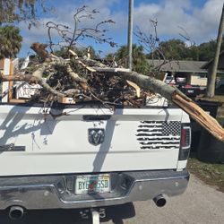 All kinds of garbage is thrown away