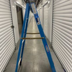 Werner 6ft Stepladder