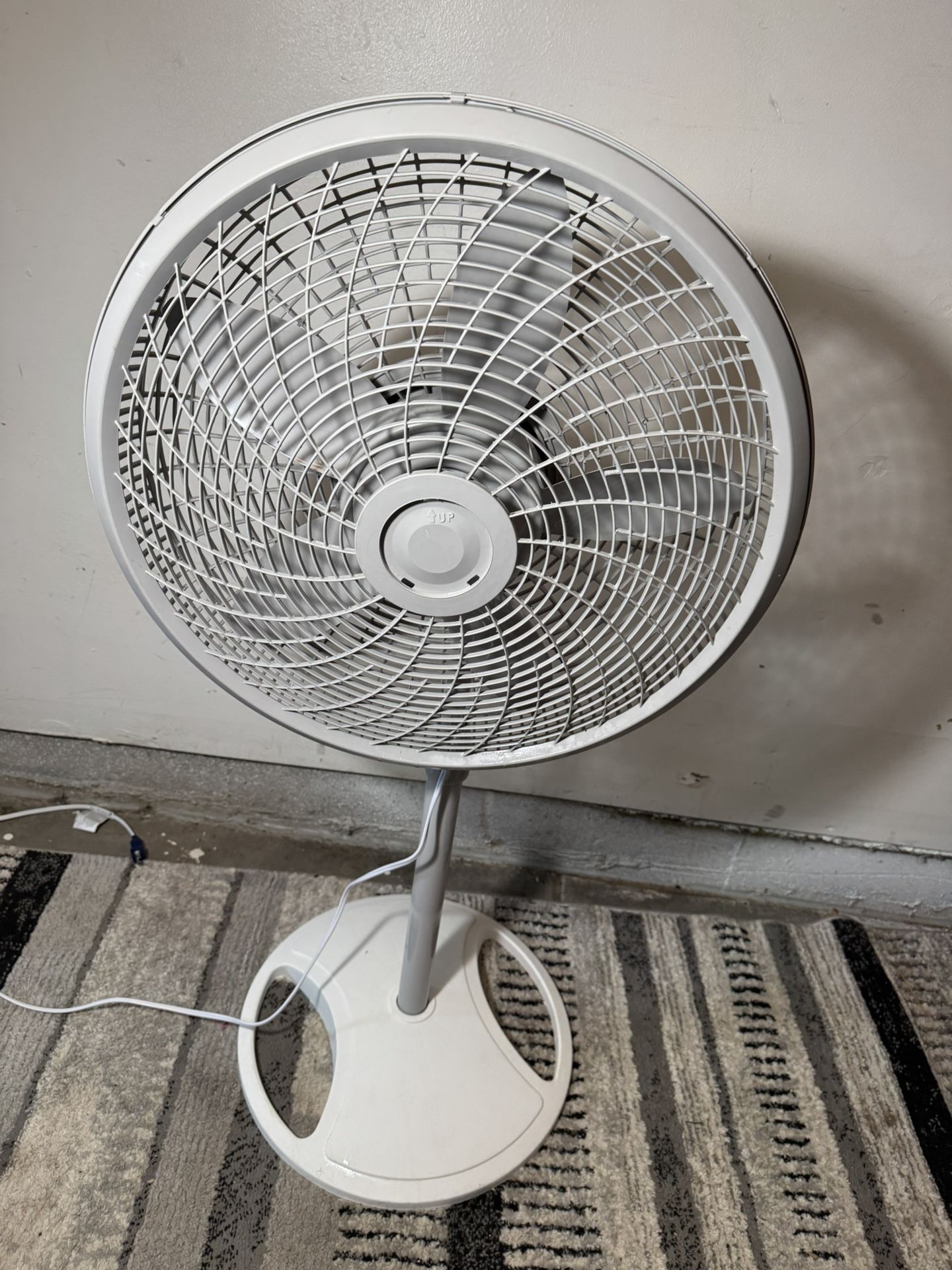 Floor Fan 