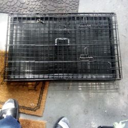 Kennel