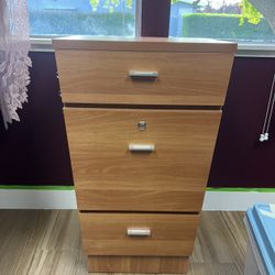 Salon Cabinet 