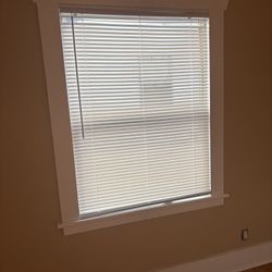 Free Window Blinds