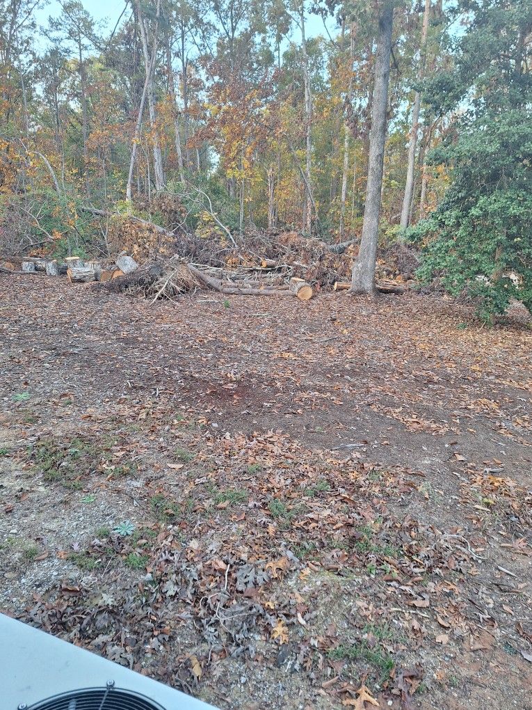 Firewood