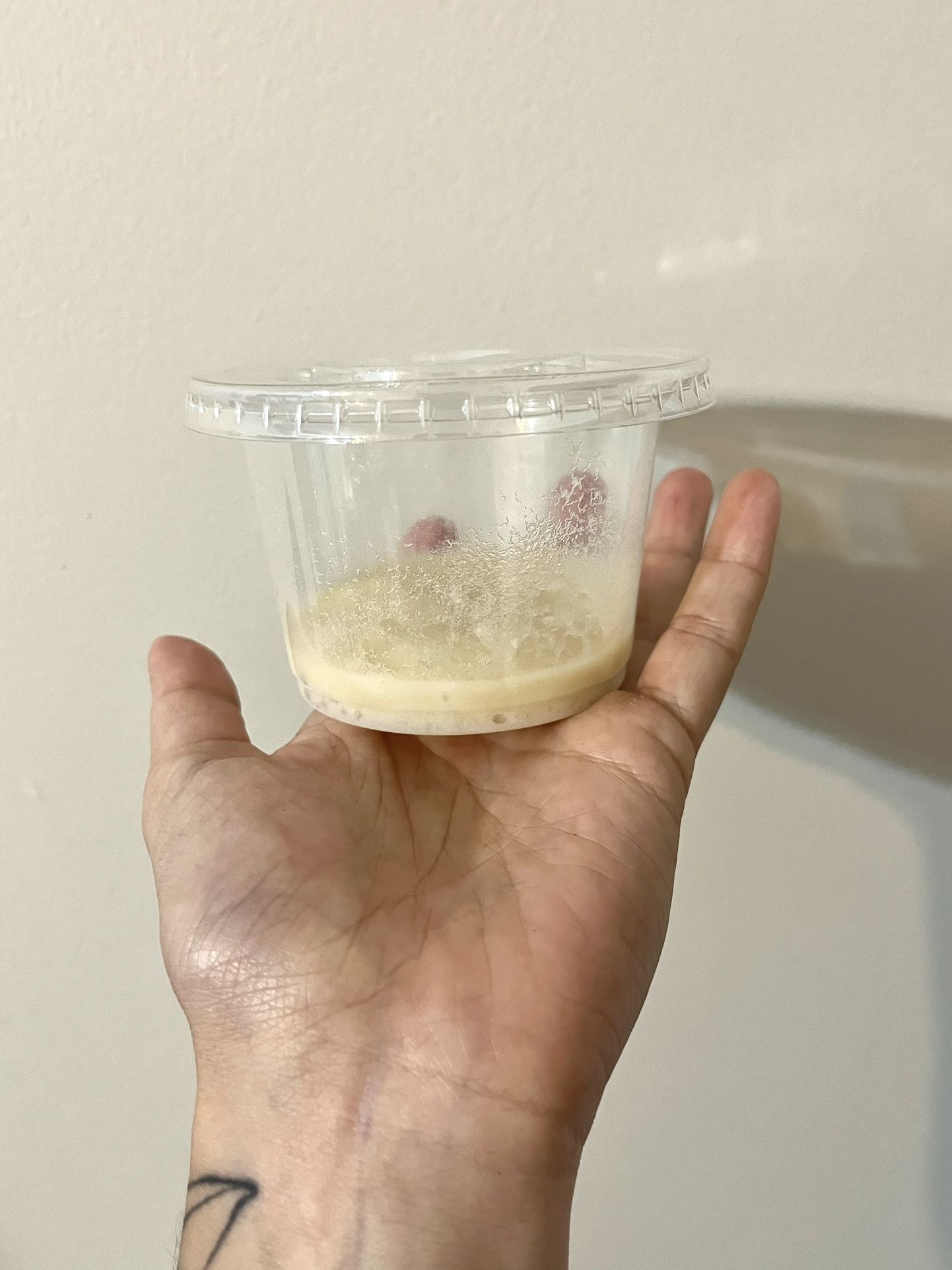 Microworm Culture for Freshwater Fish Fry Ready To Use