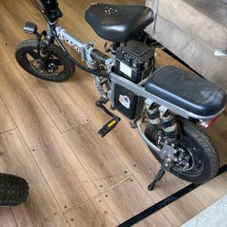 Electric Bike