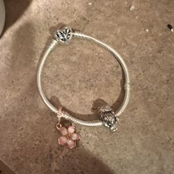 Pandora Charm Bracelet