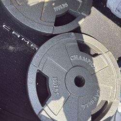 olympic champion waights 